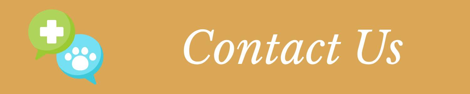 Contact Banner