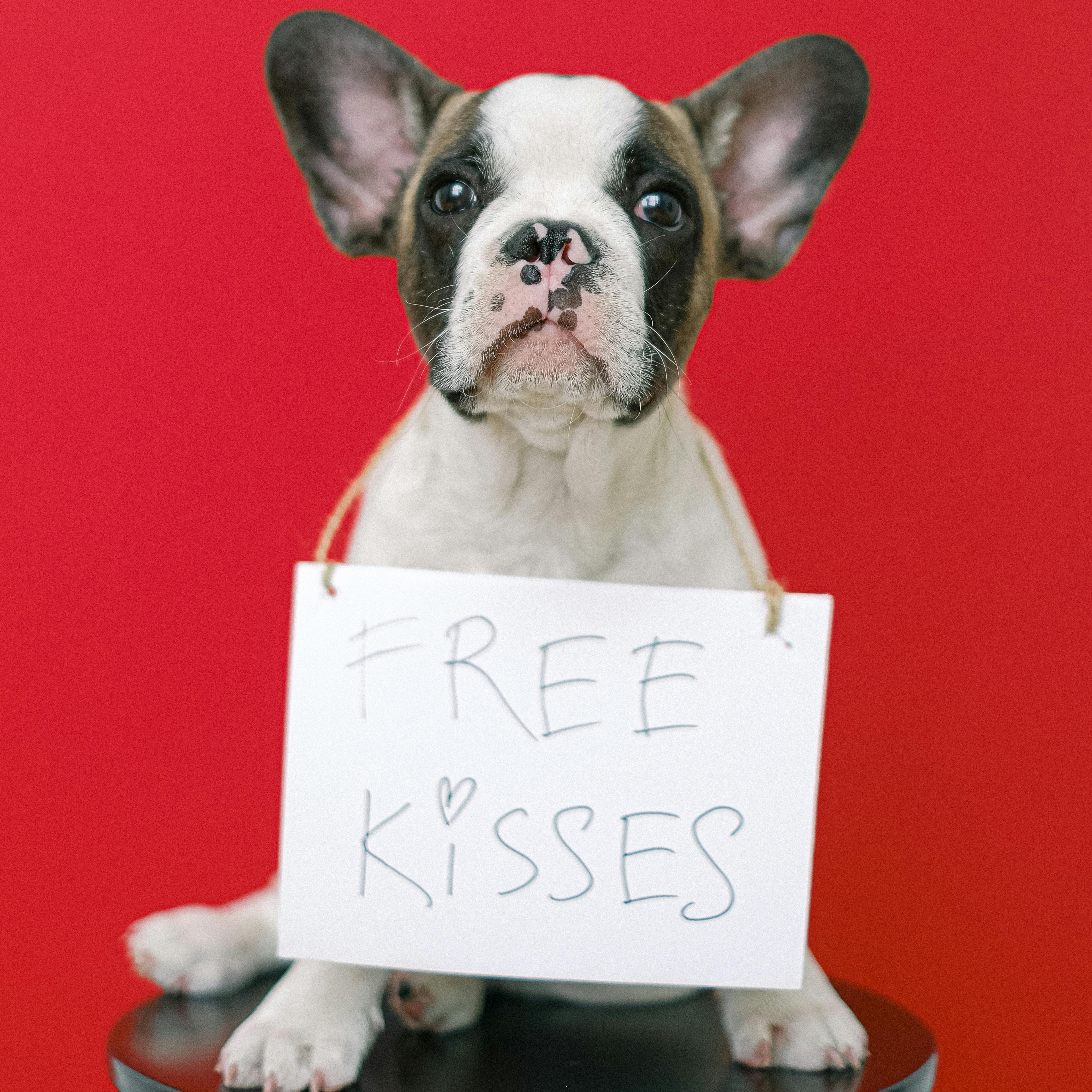 dog with free kisses sign