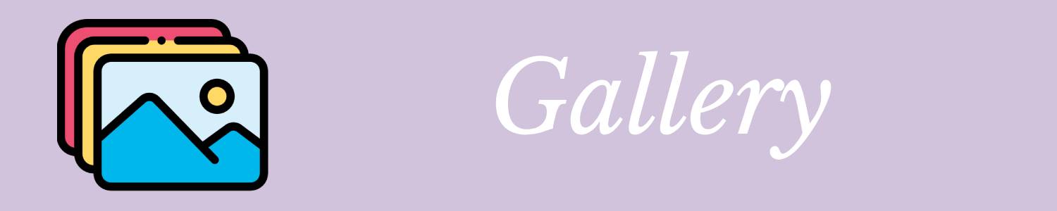 Gallery Banner